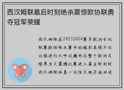 西汉姆联最后时刻绝杀震惊欧协联勇夺冠军荣耀 西汉姆联最后时刻绝杀震惊欧协联勇夺冠军荣耀